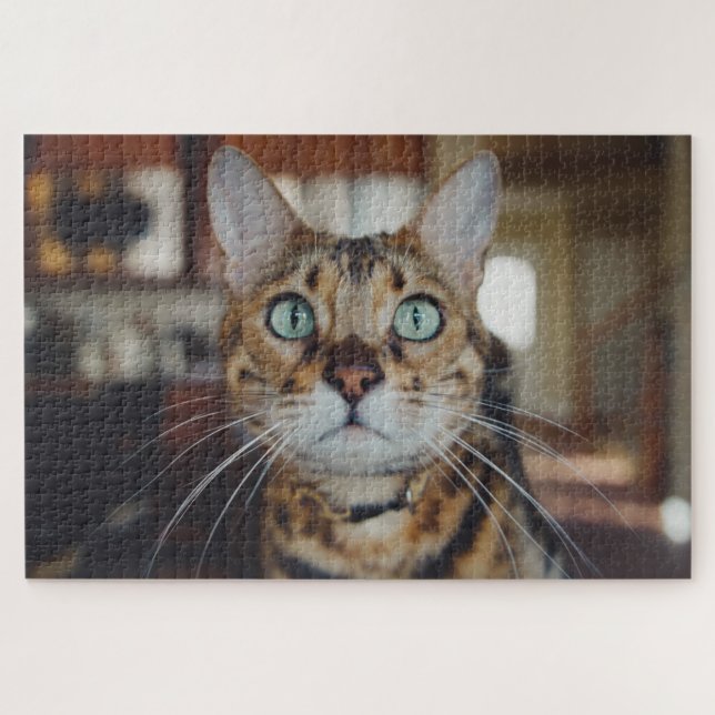 curious cat puzzle (Horizontal)