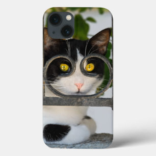 Curious Cat with Spectacles Frame a Funny Photo - iPhone 13 Case