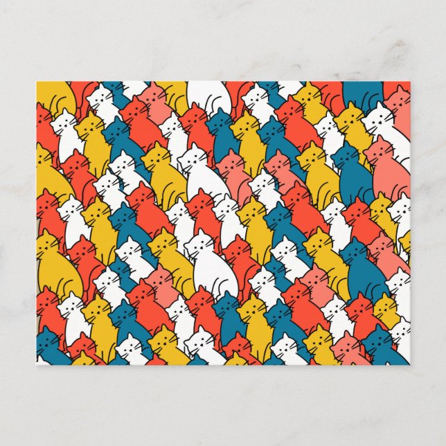 Curious Cats colourful Postcard (Front)