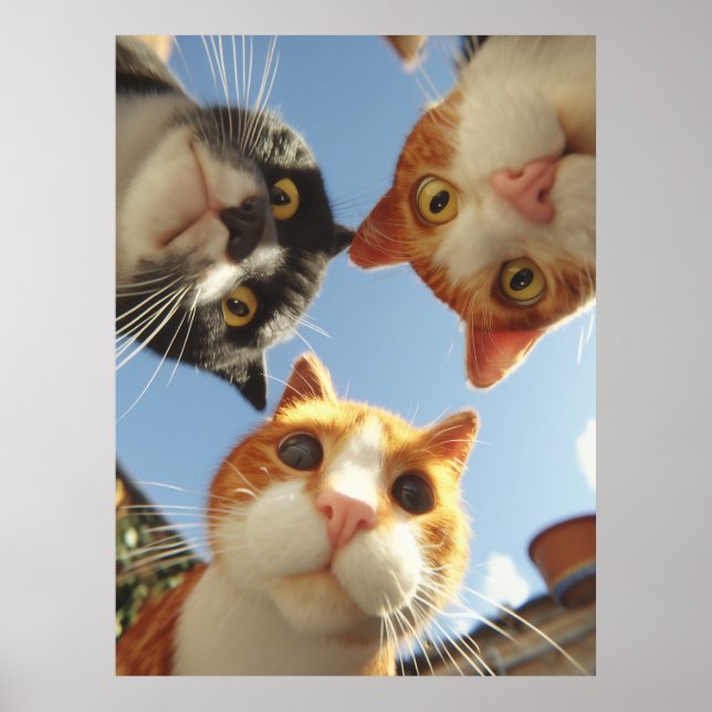 Curious Cats Looking Down Poster (Front)