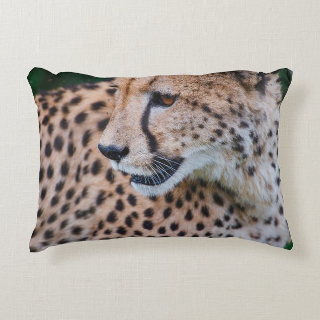 CURIOUS CHEETAH ACCENT PILLOW (Front)