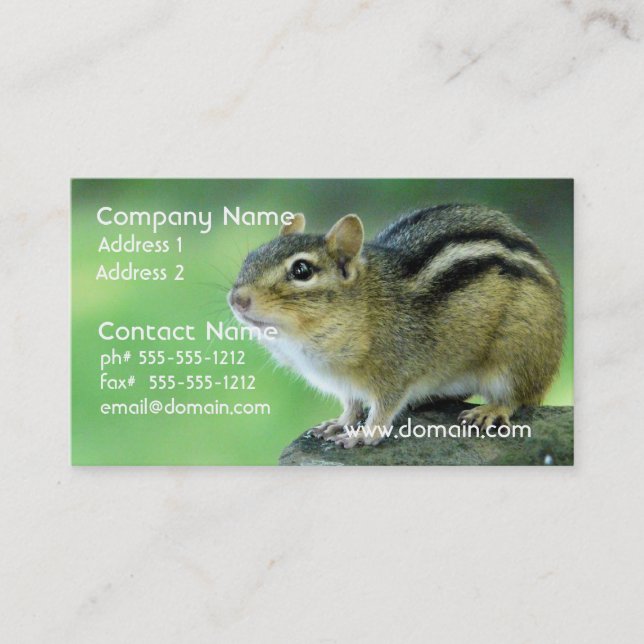 Curious Chipmunk  Business Cards (Front)