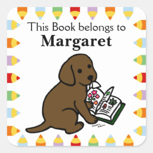 Curious Chocolate Labrador Puppy Square Sticker