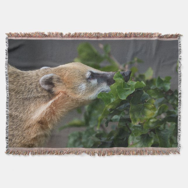 Curious Coati  Throw Blanket (Front)