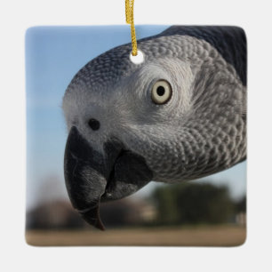 Curious Congo African Gray Parrot Ceramic Ornament