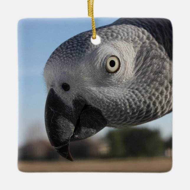 Curious Congo African Gray Parrot Ceramic Ornament (Front)