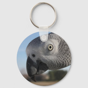 Curious Congo African Grey Parrot Keychain