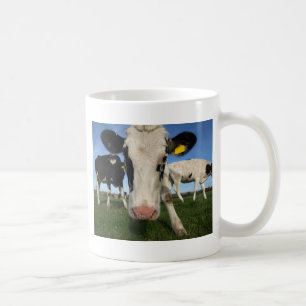 Curious Cow Coffee Mug