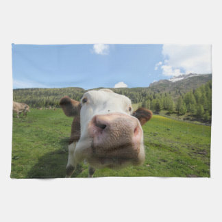 curious cow kitchen towel