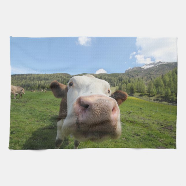curious cow kitchen towel (Horizontal)