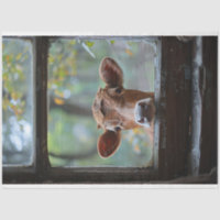 Curious Cow Looking Through a Window Decoupage
