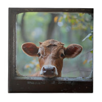 Curious Cow Looking Through a Window