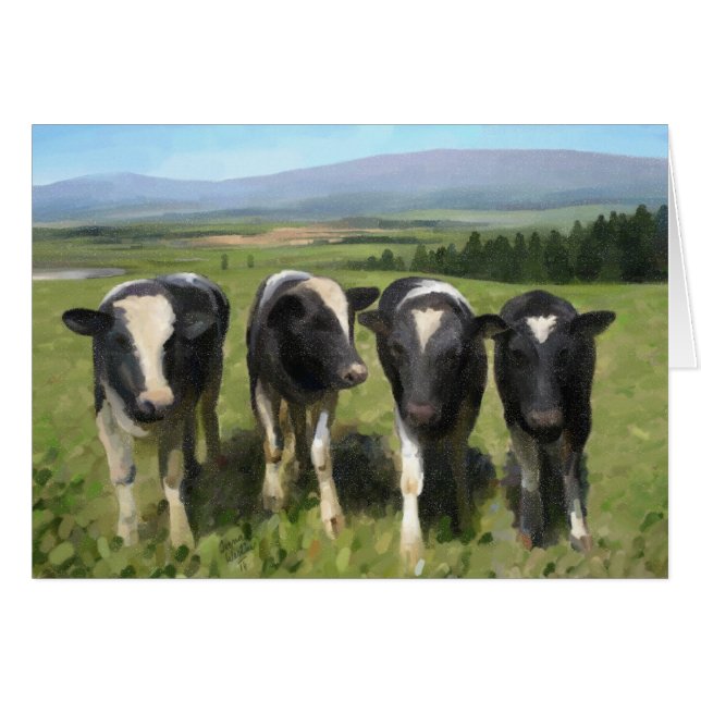 Curious cows (Devant horizontal)