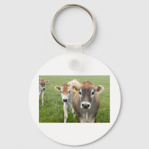 Curious cows keychain