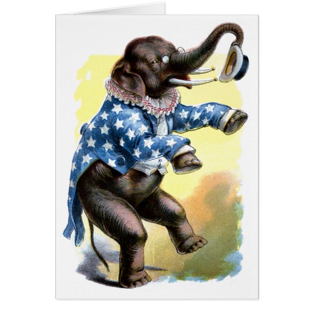 Curious Creatures - Elephant (Front)