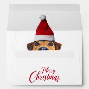 Curious Cute Funny Dog with Santa Hat Envelope