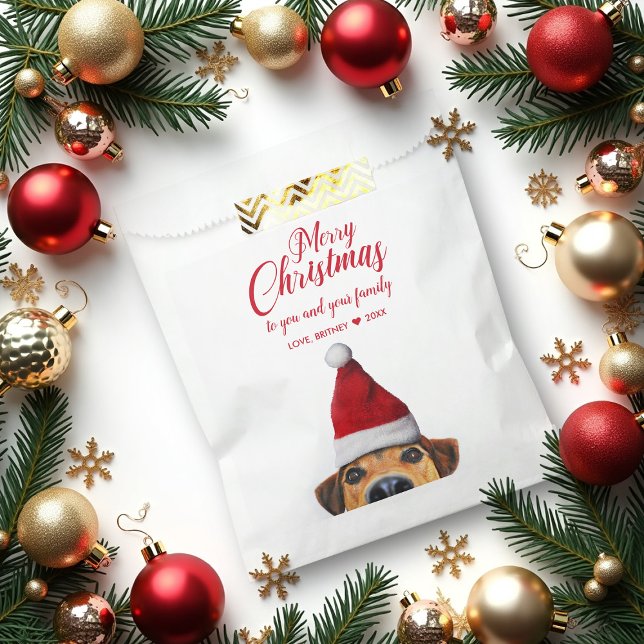 Curious Cute Funny Dog with Santa Hat Favour Bag (Creator Uploaded)