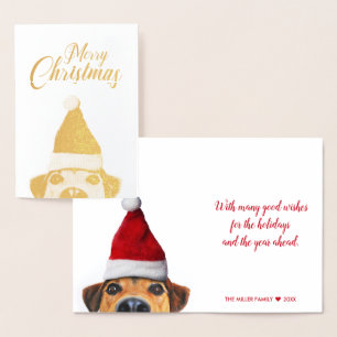 Curious Cute Funny Dog with Santa Hat Foil Card