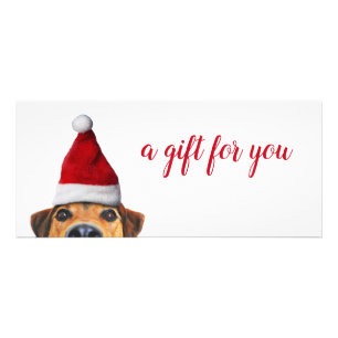 Curious Cute Funny Dog with Santa Hat Gift Card