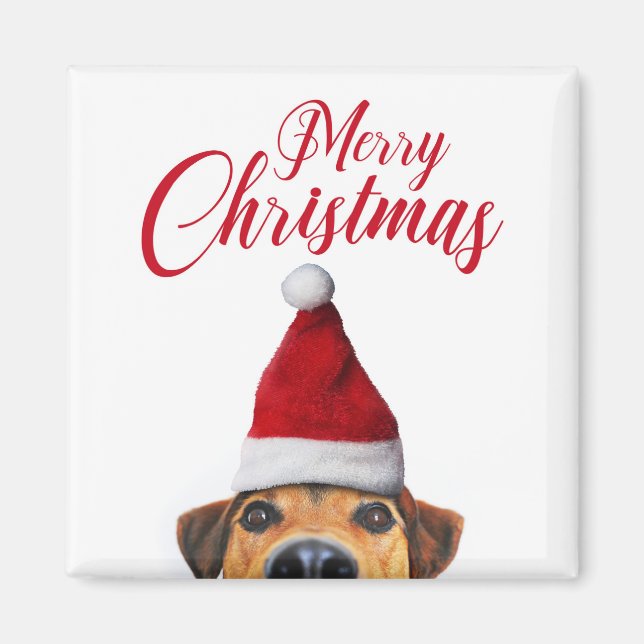 Curious Cute Funny Dog with Santa Hat Magnet (Front)