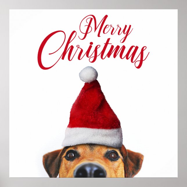 Curious Cute Funny Dog with Santa Hat Poster (Front)
