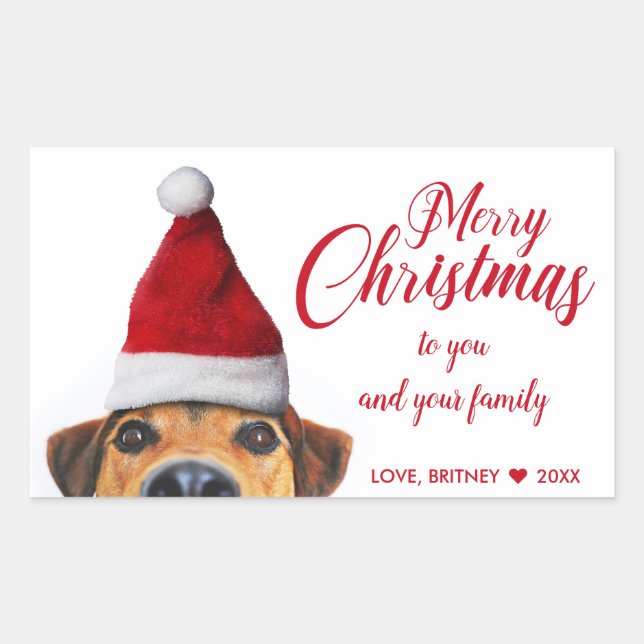 Curious Cute Funny Dog with Santa Hat Sticker (Front)