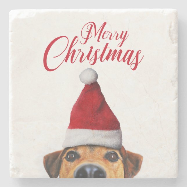 Curious Cute Funny Dog with Santa Hat Stone Coaster (Front)