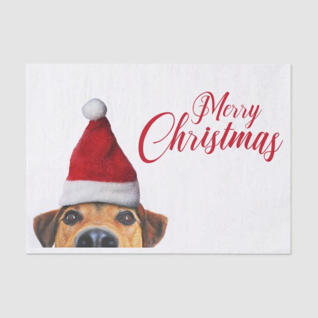 Curious Cute Funny Dog with Santa Hat Tissue Paper (Front)