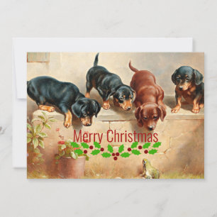 Curious Dachshund Puppies and a Frog, Christmas, Holiday Card