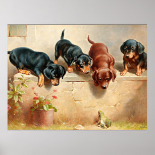 Curious Dachshund Puppies and a Frog Poster