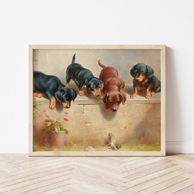 Curious Dachshund Puppies | Carl Reichert Poster (Creator Uploaded)