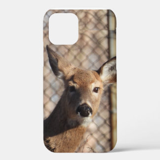 Curious Deer in the Woods iPhone 12 Case