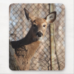 Curious Deer in the Woods Mouse Pad