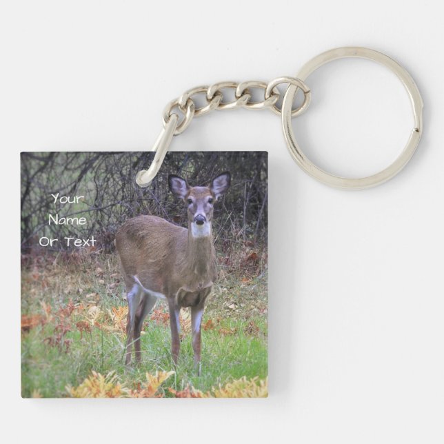 Curious Deer Keychain (Back)