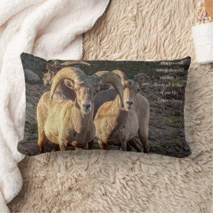 Curious Desert Bighorn Sheep Ram And Ewes Lumbar Pillow