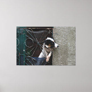 Curious Dog Looking Out of a Decorative Metal Gate Canvas Print