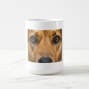 Curious Dog Watching Coffee Mug