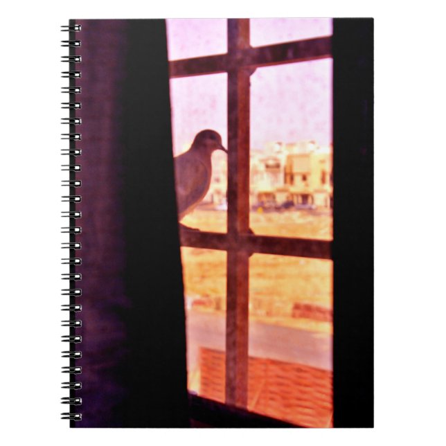 Curious Dove Notebook (Front)
