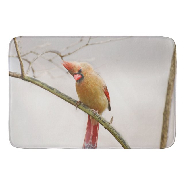 Curious Female Cardinal Bathmat (Front)