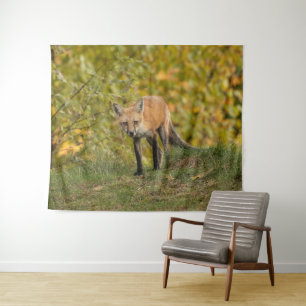 Curious Fox Tapestry
