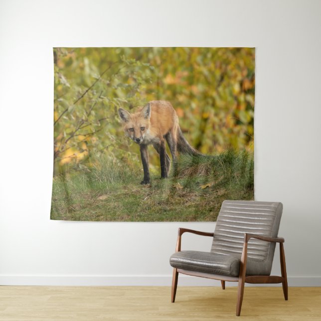 Curious Fox   Tapestry (In Situ (Horizontal))