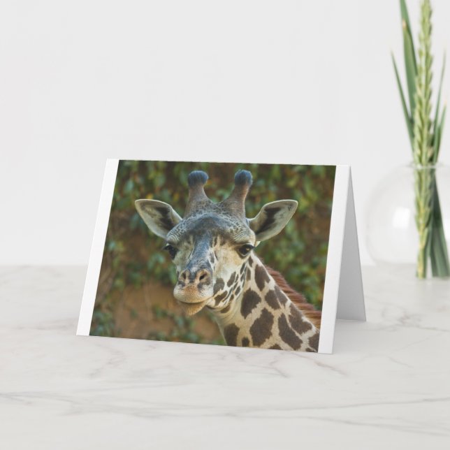 Curious Giraffe Card (Front)