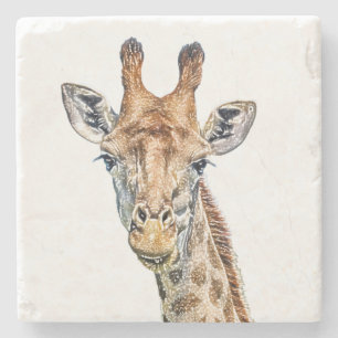 Curious Giraffe Stone Coaster