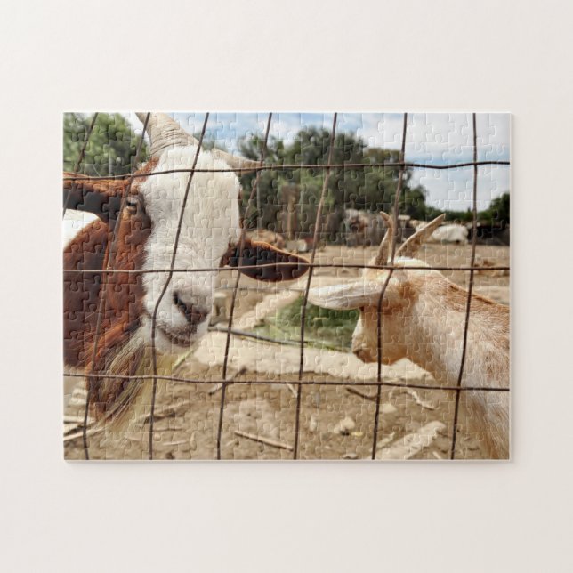 Curious goat - Puzzle (Horizontal)