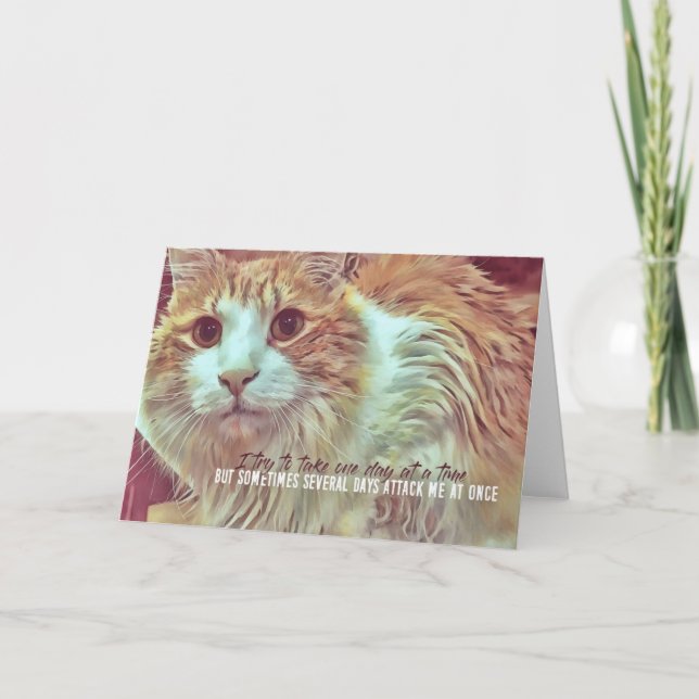 CURIOUS Greeting Card (Front)