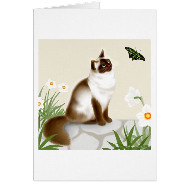 Curious Himalayan Cat (Front)