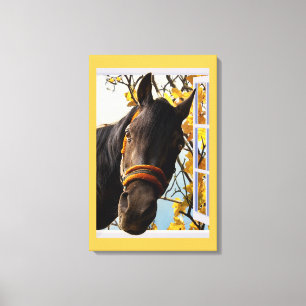 Curious Horse Looking Through The Kitchen Window Canvas Print