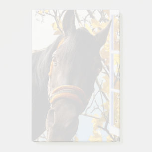 Curious Horse Looking Through The Kitchen Window Post-it Notes