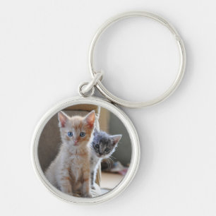 Curious Kittens Keychain