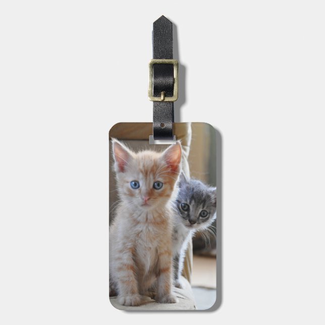 Curious Kittens Luggage Tag (Front Vertical)